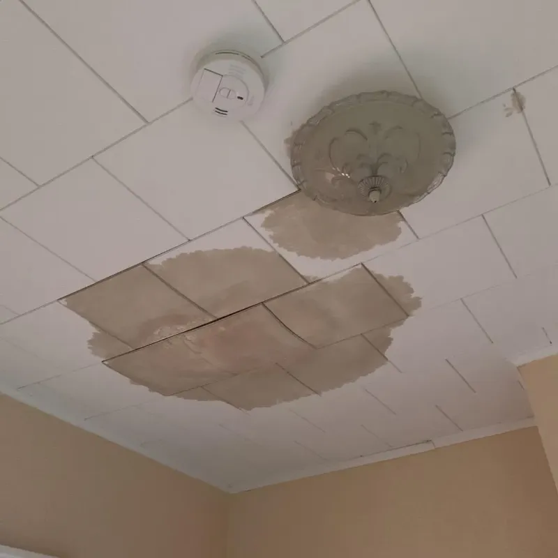 Ceiling Water Damage Repair in McAdoo, PA