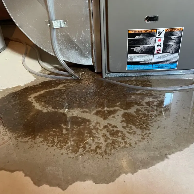 Pipe Burst and Leak Restoration in McAdoo, PA